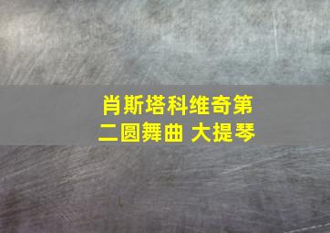 肖斯塔科维奇第二圆舞曲 大提琴